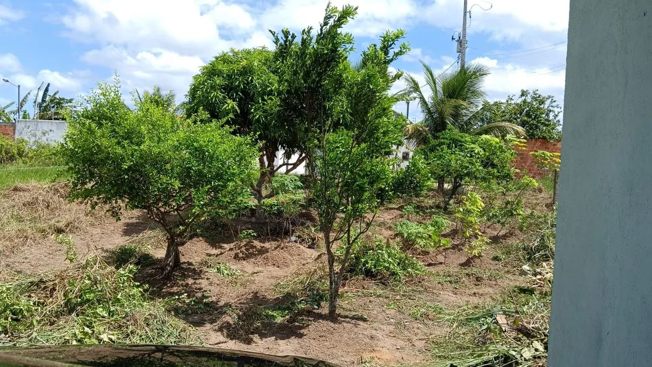 Vende-se uma casa com fruteiras colocando. - Foto 5