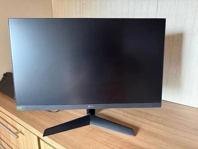 Monitor Lg 24 180Hz