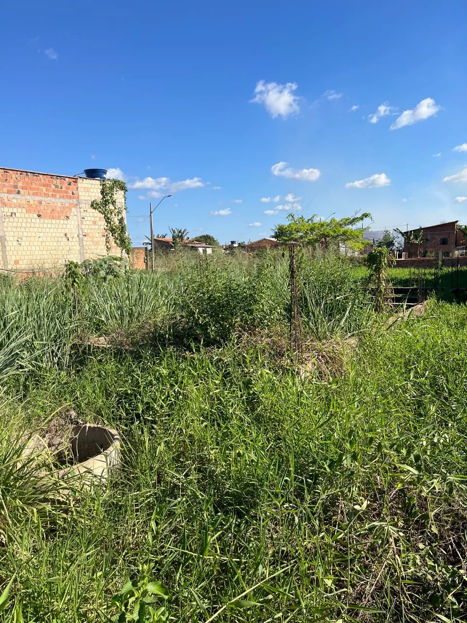 Excelente Lote no Carajás I - Pronto para Construir - Foto 2