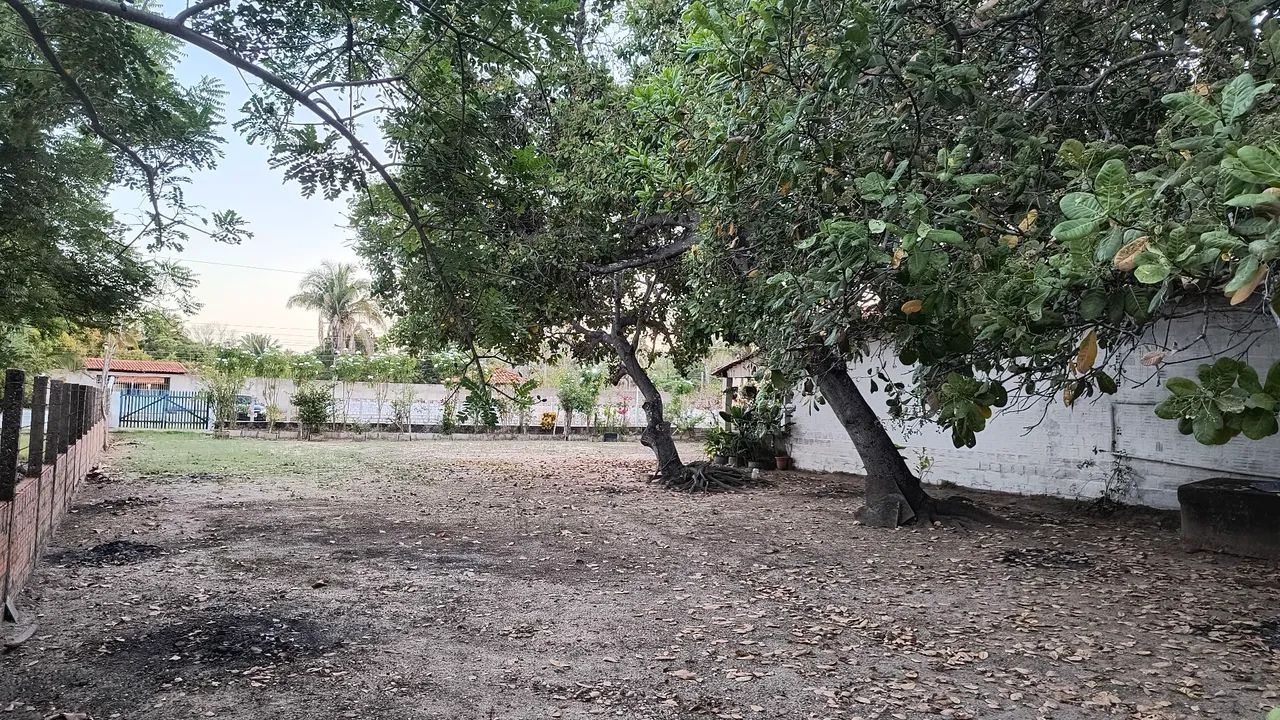 VENDO SITIO EM NAZÁRIA PI - Foto 5