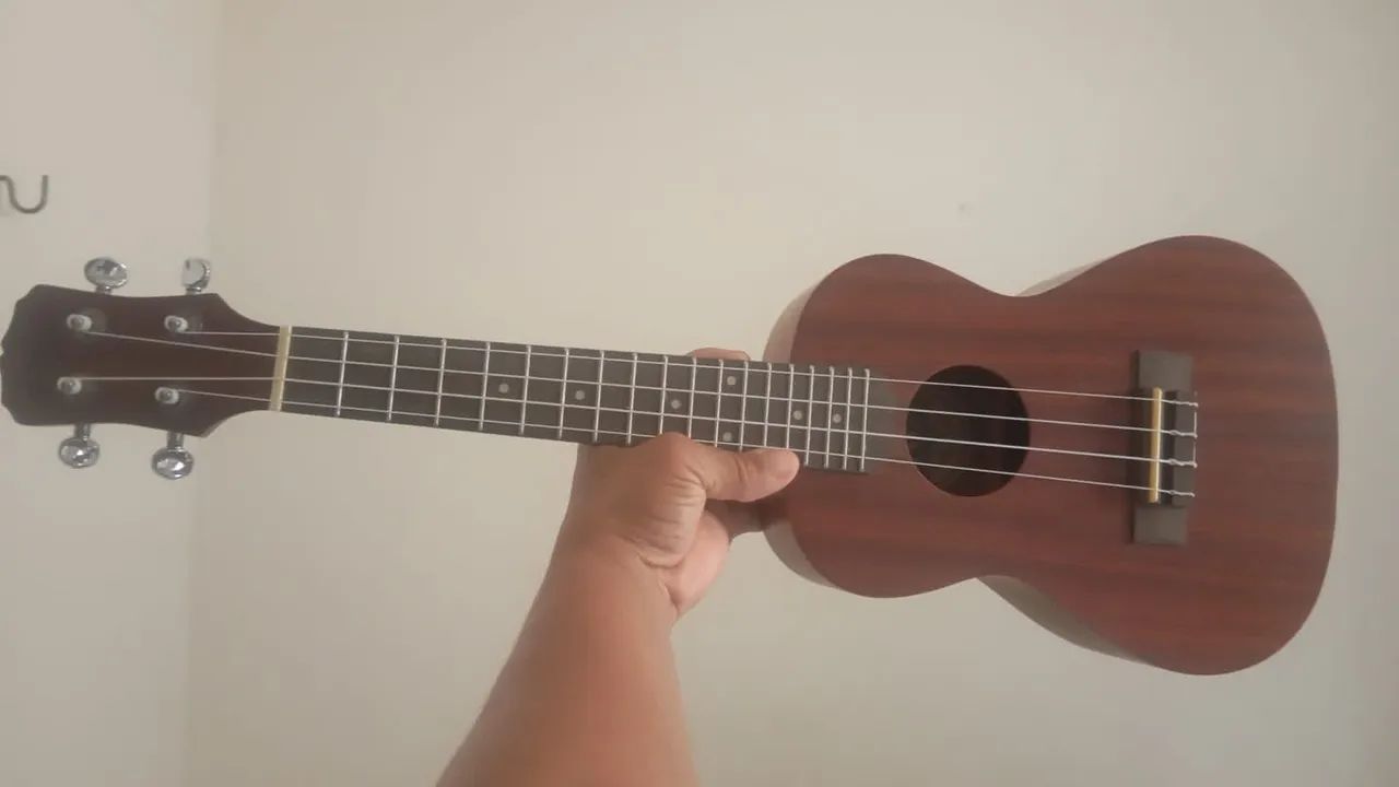 Ukulele  - Foto 2