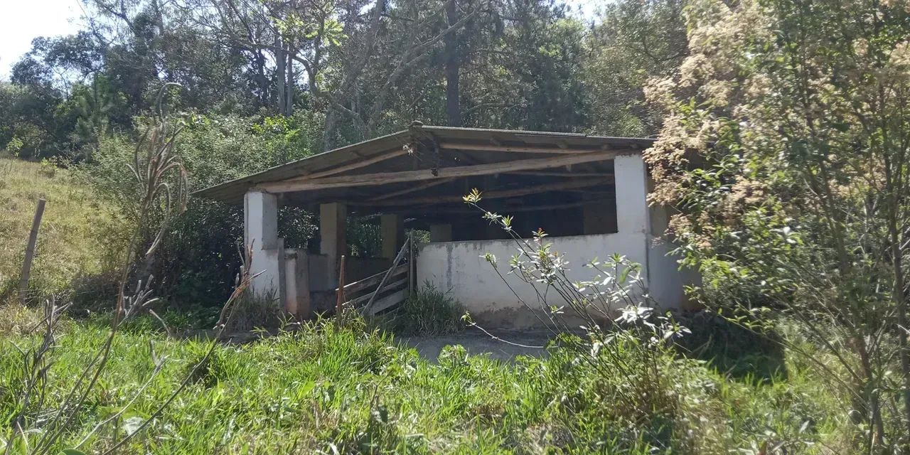 Imóvel para venda possui 65000 metros quadrados em Área Rural de Pinhalzinho - Pinhalzinho - Foto 12