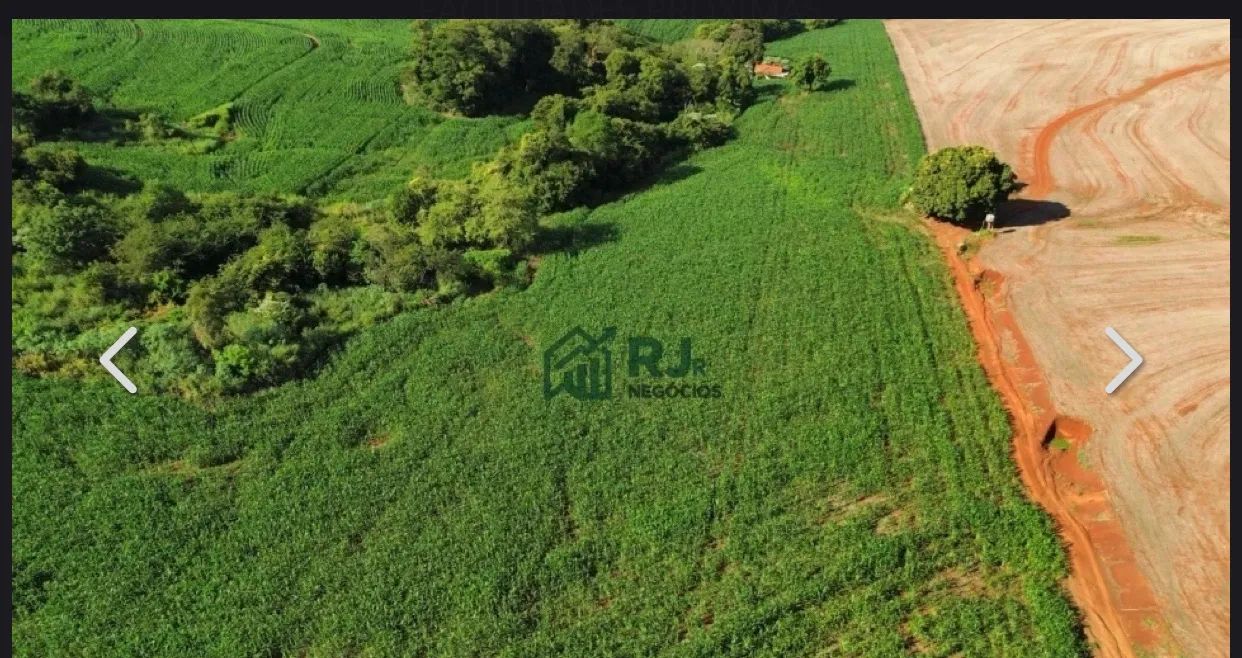 Sitio a venda em Borrazopolis pr
