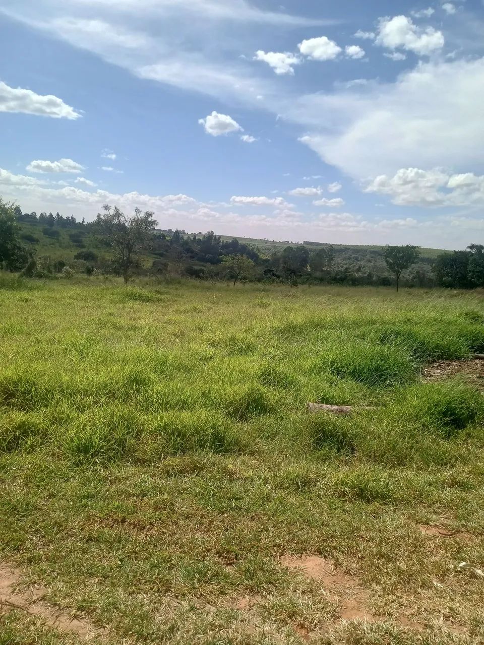 Foto - Piratininga - Área Rural de Piratininga