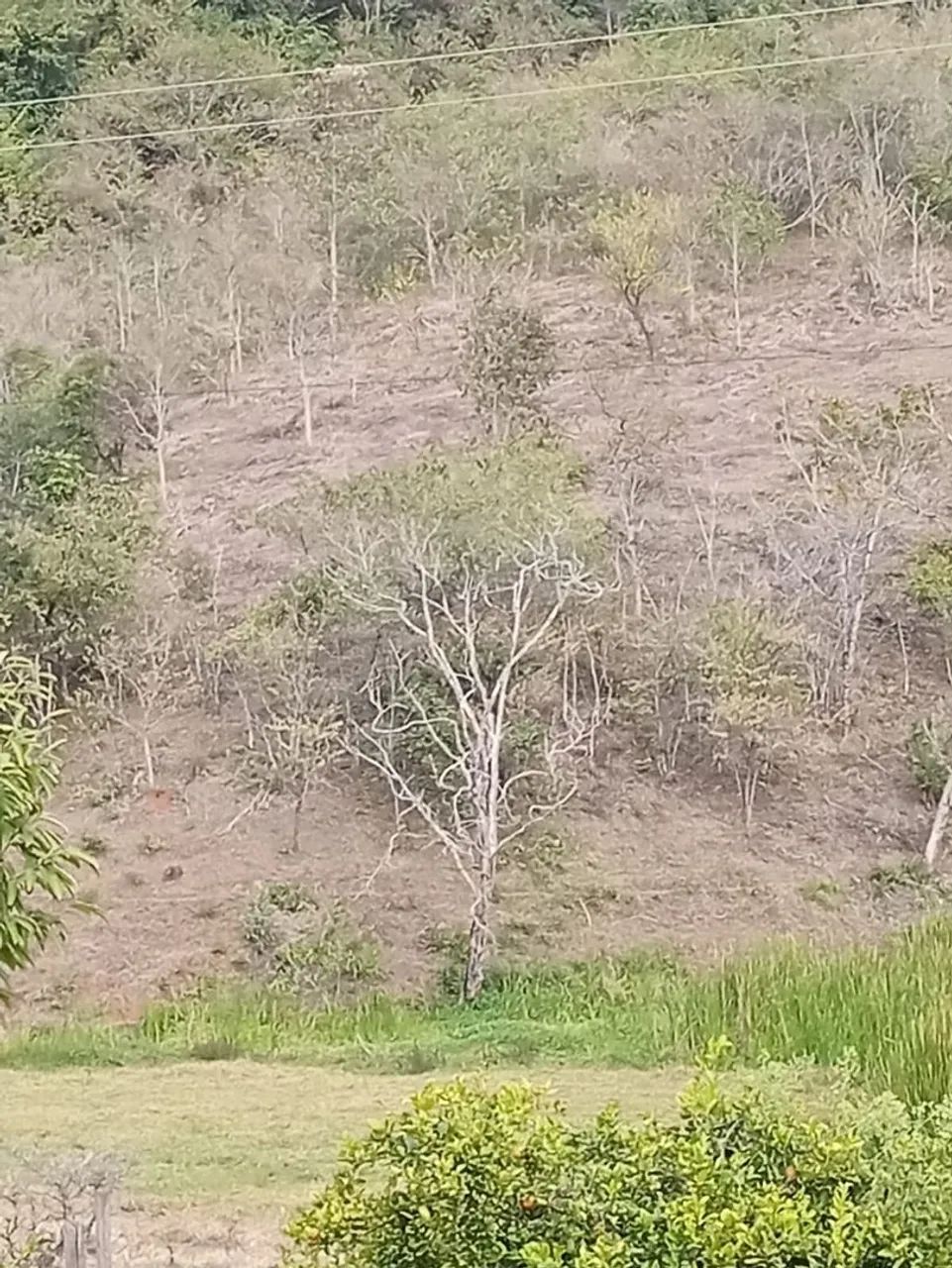 Terreno oportunidade 