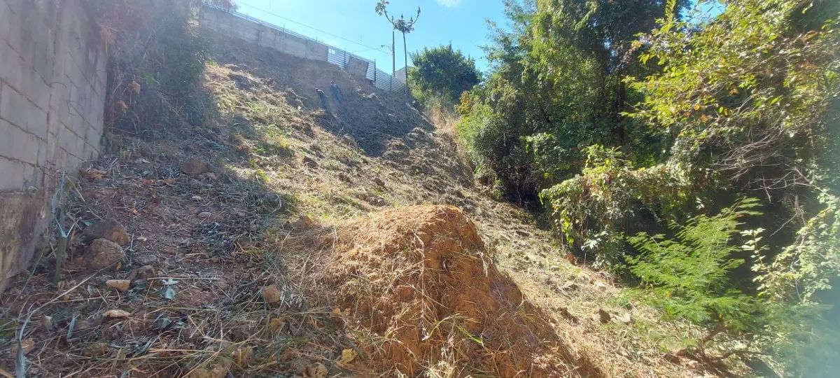Lote / Terreno à venda em Belo Horizonte - Foto 4