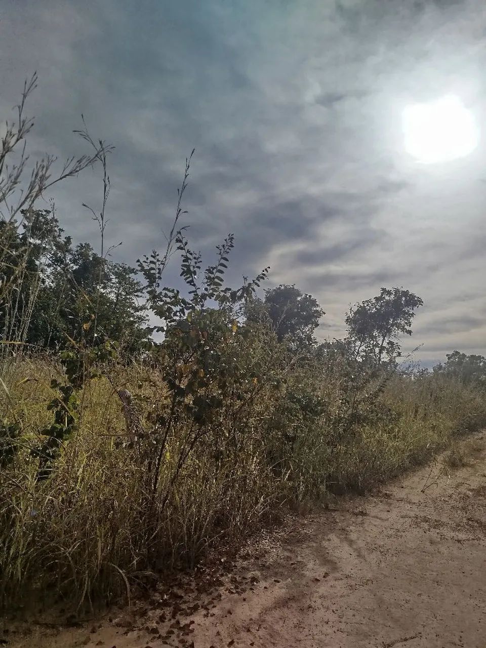 Colinas do Sul Goiás  - Foto 3