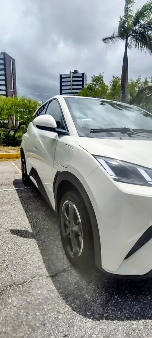 BYD Dolphin Mini (Elétrico) 2025 - Foto 3