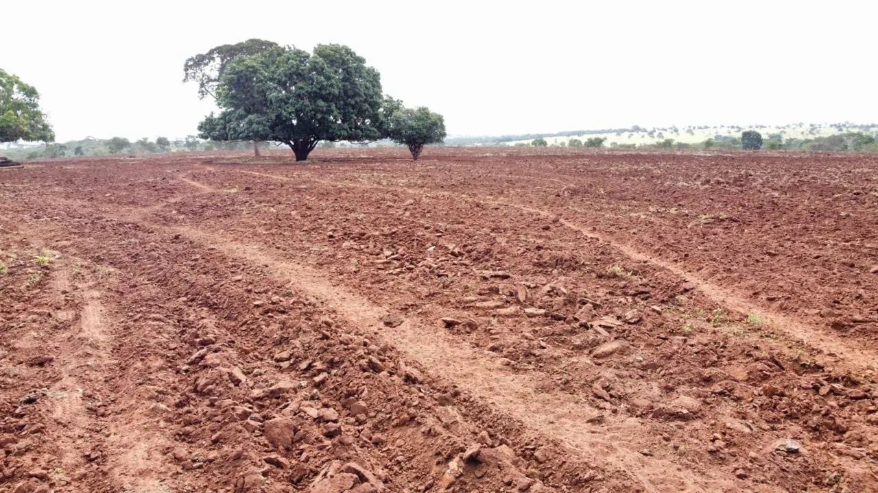 Fazenda com 80% aproveitamento lavoura  - Foto 2