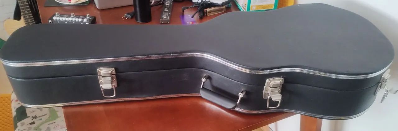 Case Viola Caipira  - Foto 2
