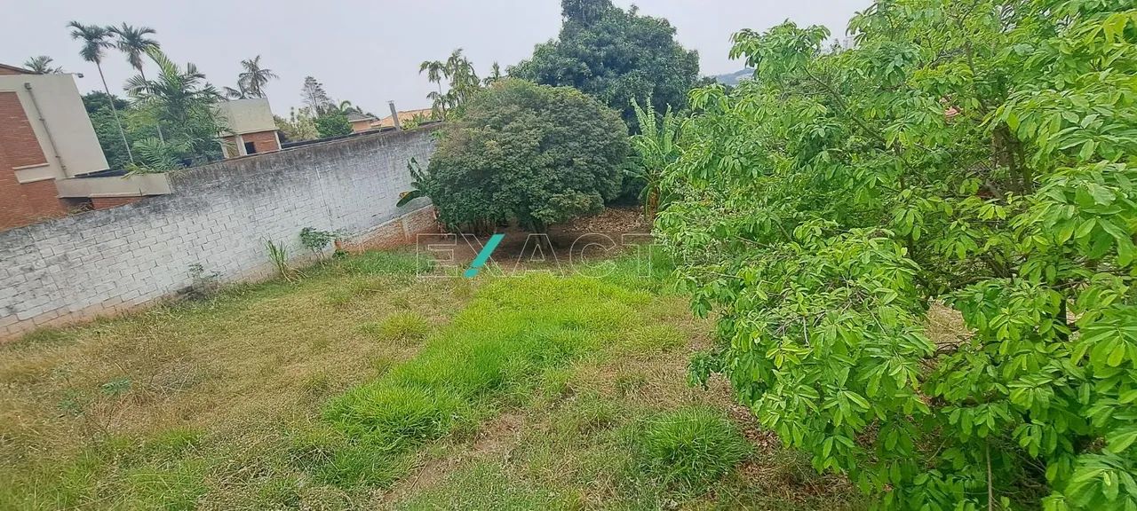terreno - Parque Taquaral - Campinas - Foto 5
