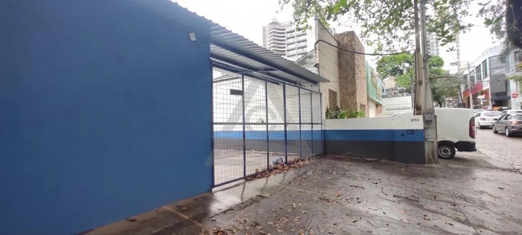 Terreno para alugar em Campinas, Cambuí, com 303 m²