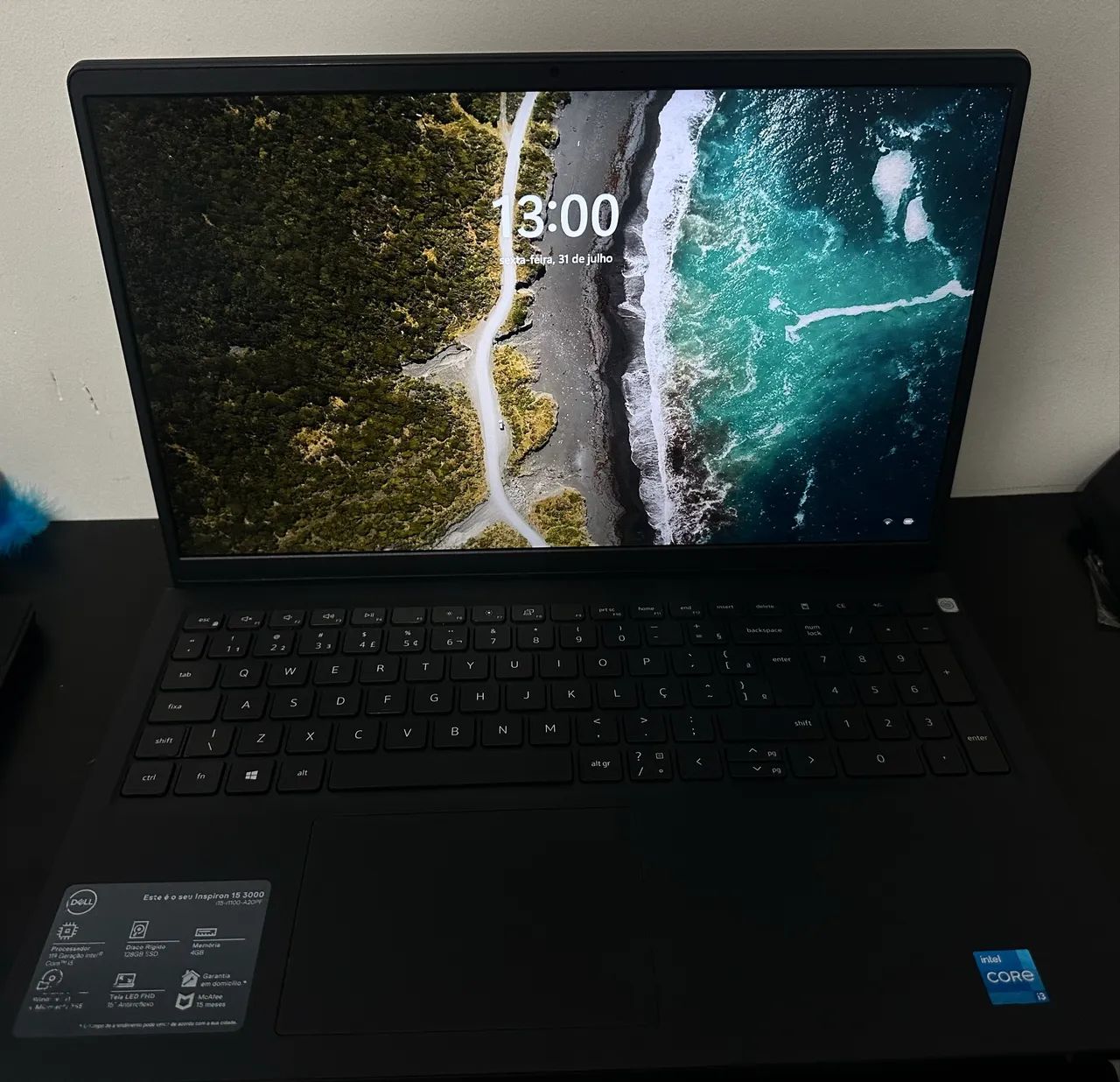 Notebook Dell Inspiron 15 3000, Core i3, 15.6 pol.