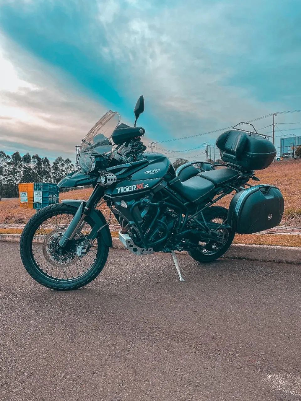 Tiger 800 XCX 2015 