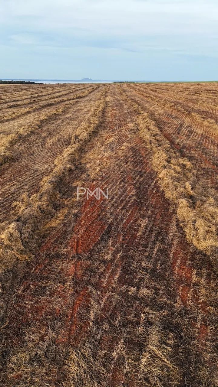 Fazenda à venda em General Carneiro, Centro, com 10 quartos, com 4350000 m² - Foto 3