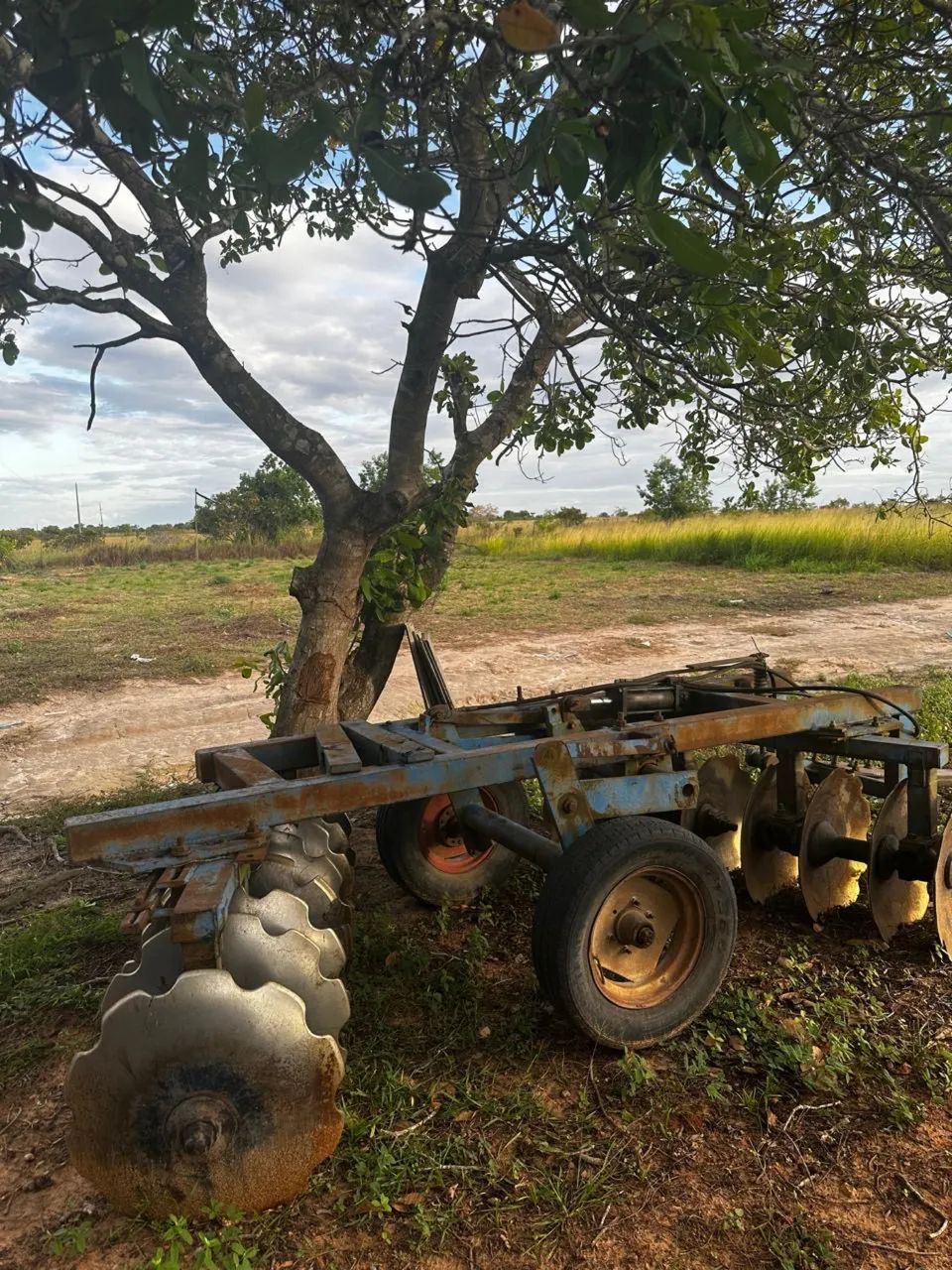 Agro e indústria - Foto 5