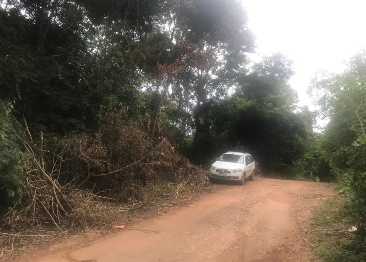 Oportunidade fazendinha  - Foto 2