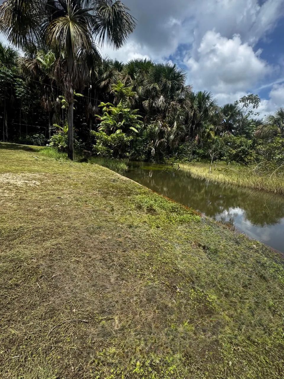 Terra com banho e alqueires - Foto 4