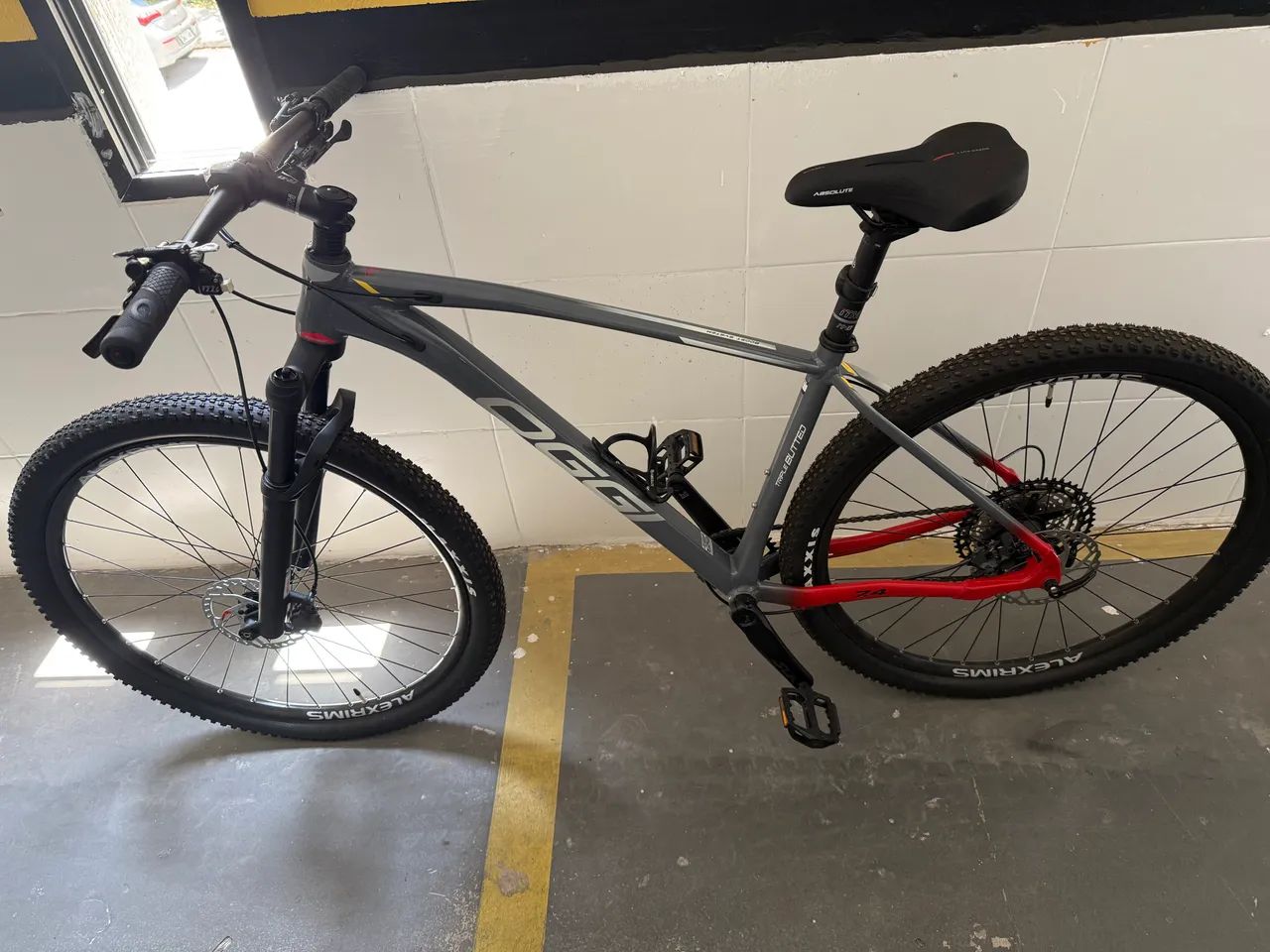 BIC OGGI 7.4 GRAF/VERM/CINZA L 2023 SLX