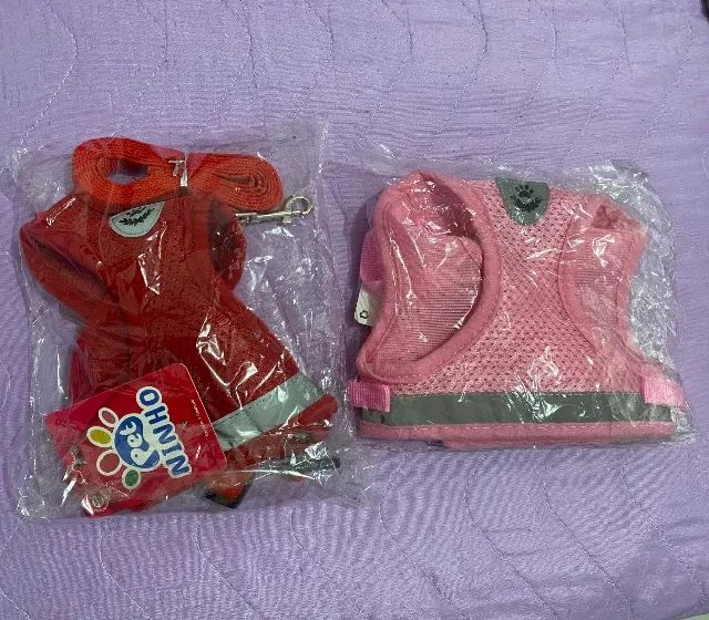 GUIA PARA CACHORRO
