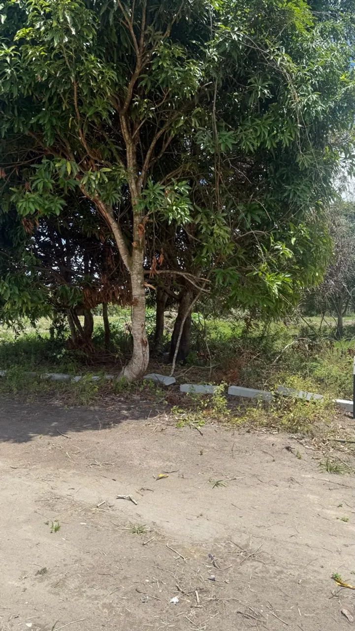 Chácaras a venda - Foto 5