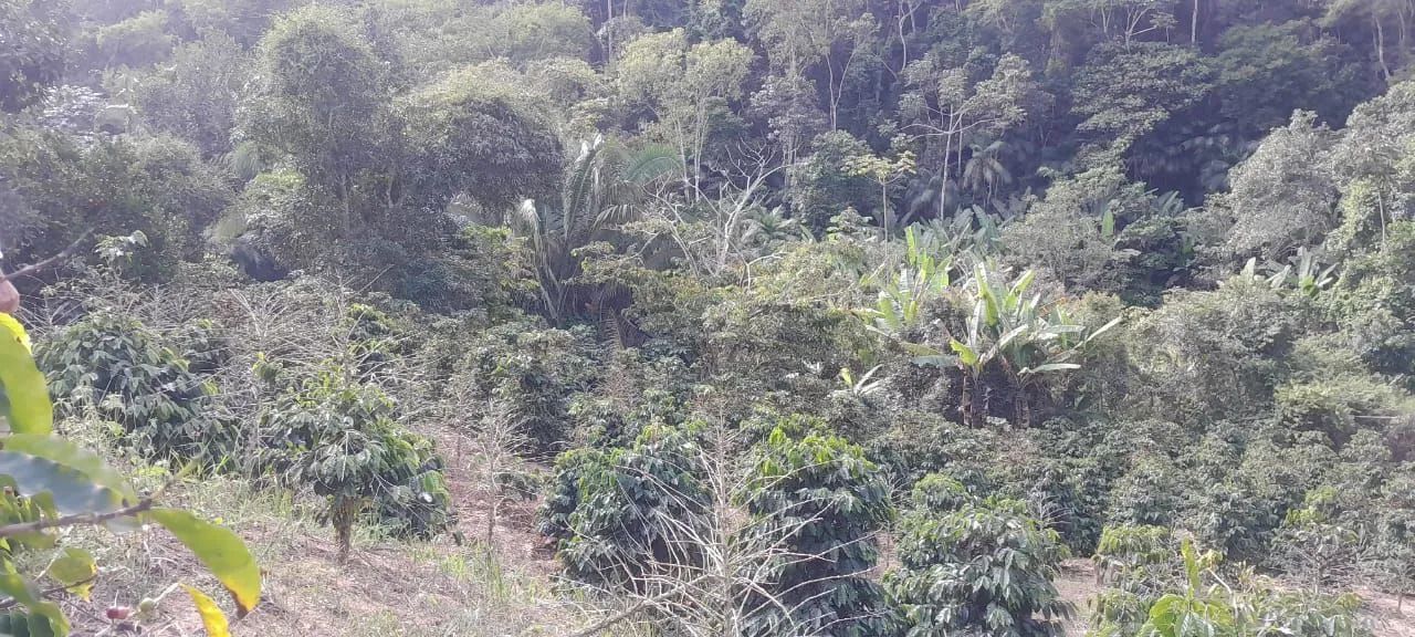 Terreno em Paraju, Domingos Martins-ES  - Foto 5