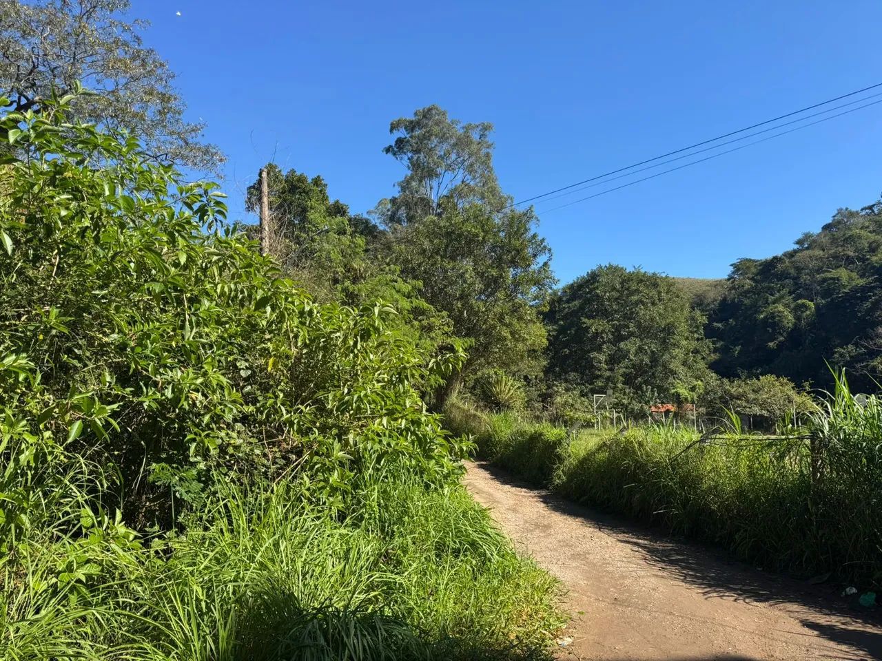 LOTE - SUPER PREÇO 
