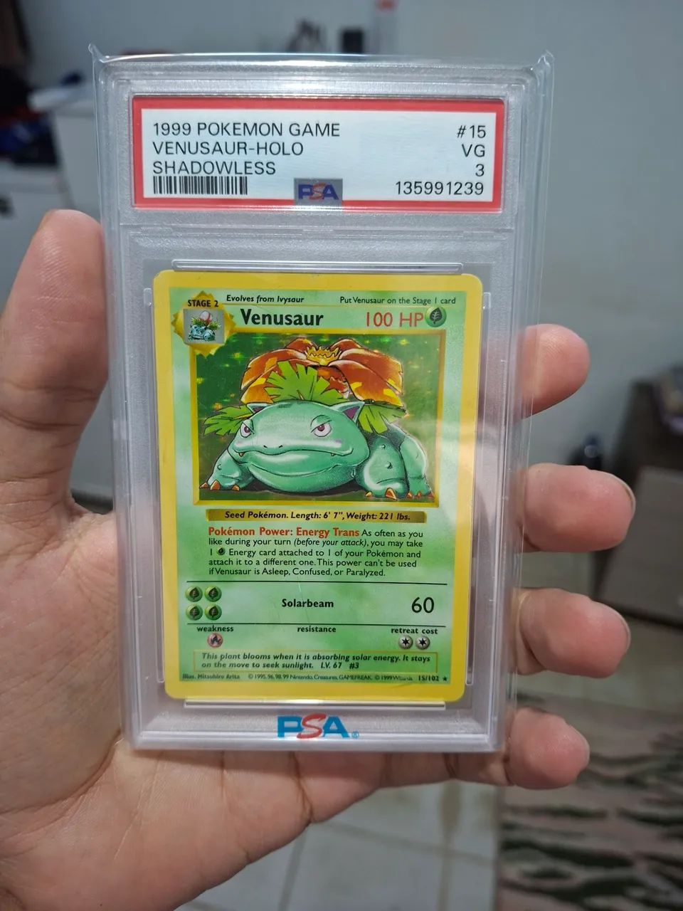 Carta Graduada Venusaur (Shadowless) - Hobbies e colees - Tabuazeiro, Vitria 1500913355 | OLX Carta Graduada Venusaur (Shadowless) - Hobbies e colees - Tabuazeiro, Vitria 1500913355 | OLX