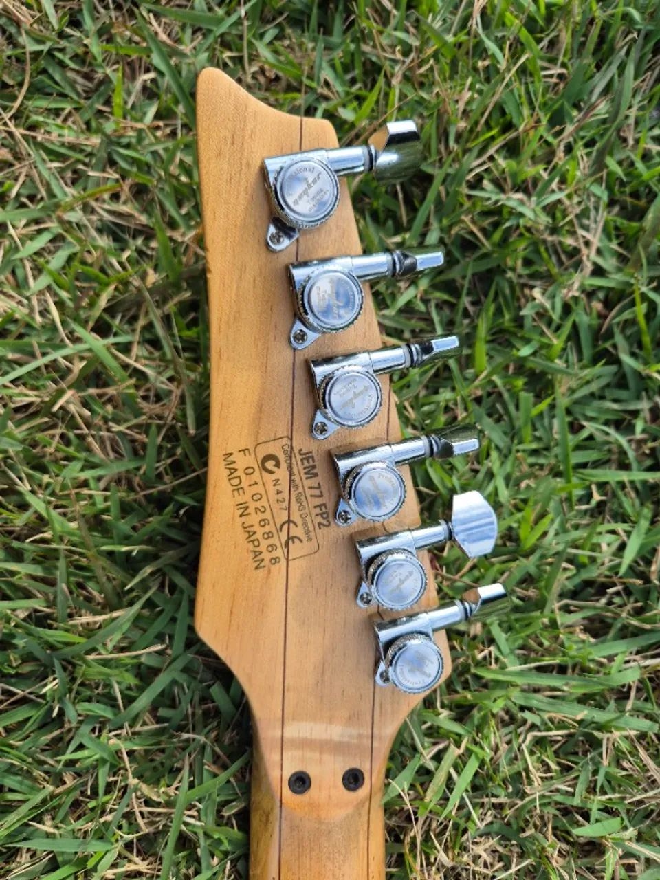 Guitarra Ibanez Jem Flower Pattern II Chinesa - Instrumentos
