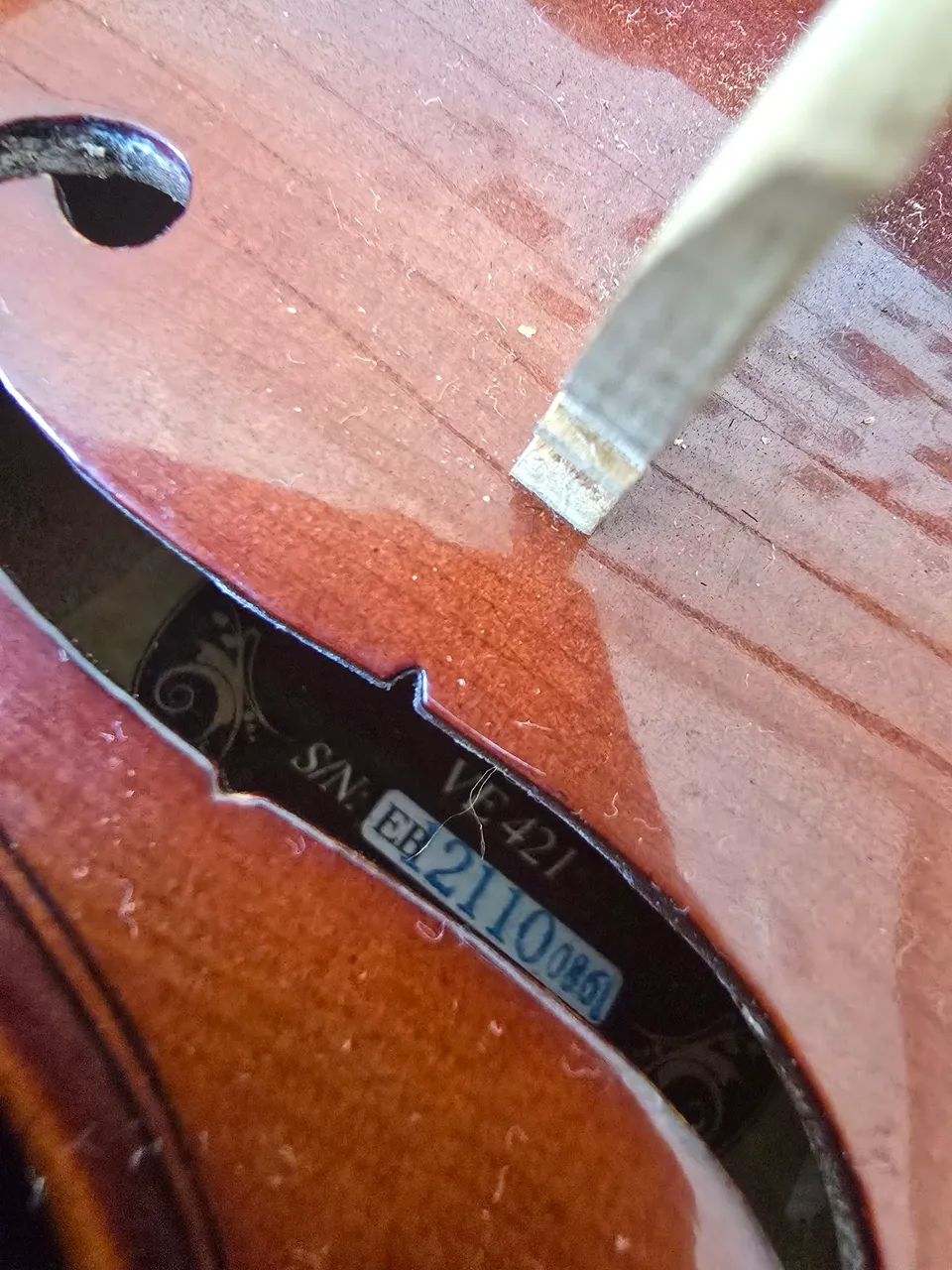 Violino Eagle VE 421 1/2 - Foto 2
