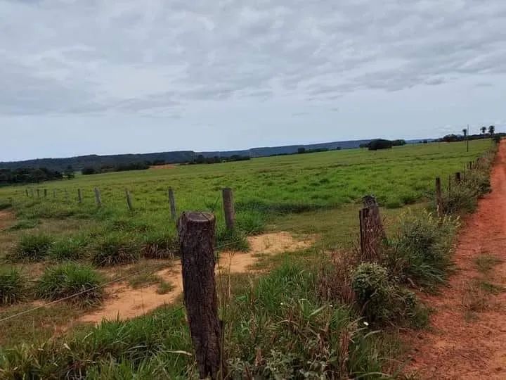 Fazenda em goiatins - Foto 2