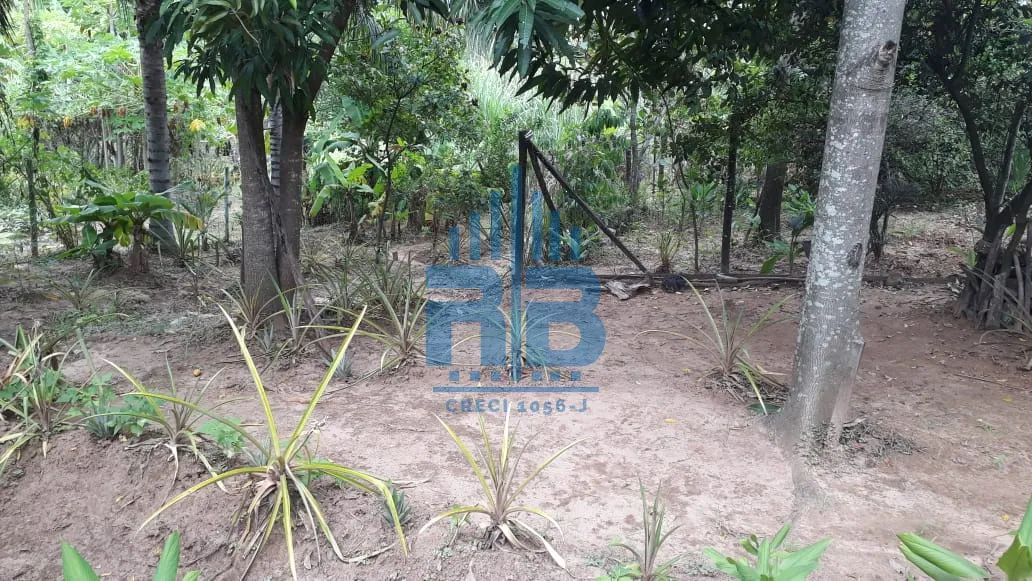CHÁCARA PARA VENDA - Foto 2