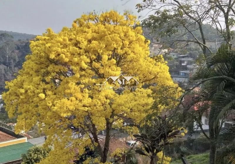 Terreno- Petrópolis, Nogueira - Foto 4