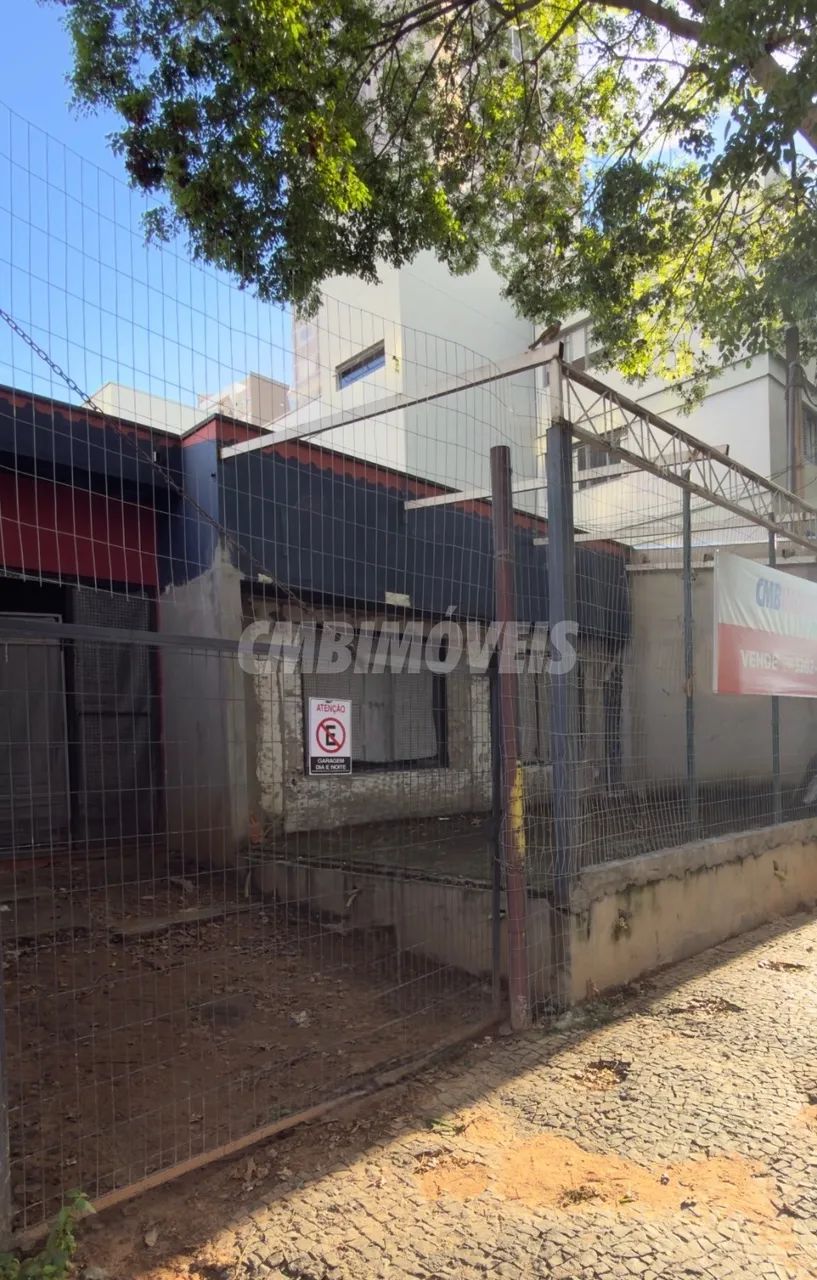 terreno - Cambuí - Campinas - Foto 4