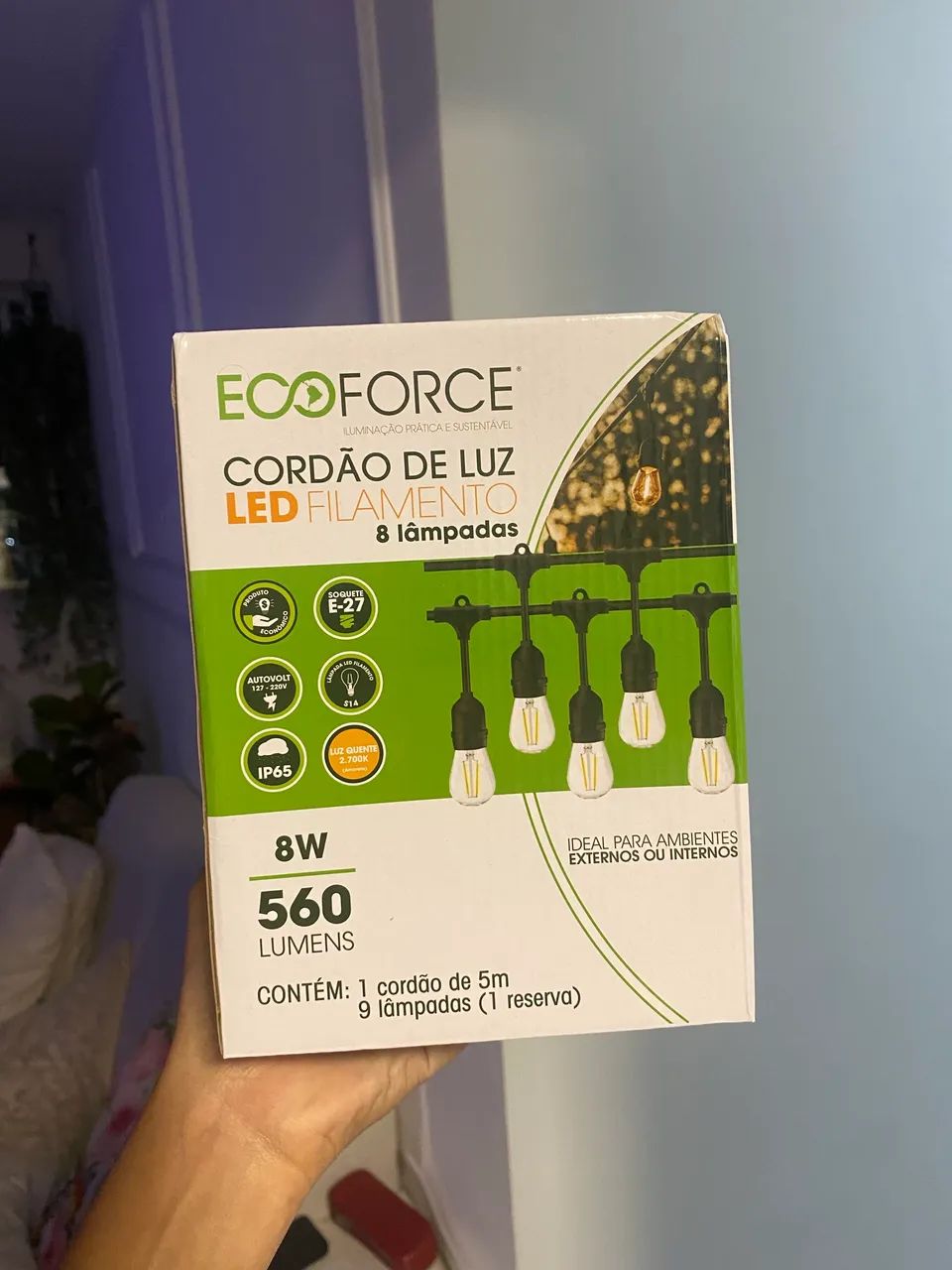Cordão de luz / Lâmpadas 