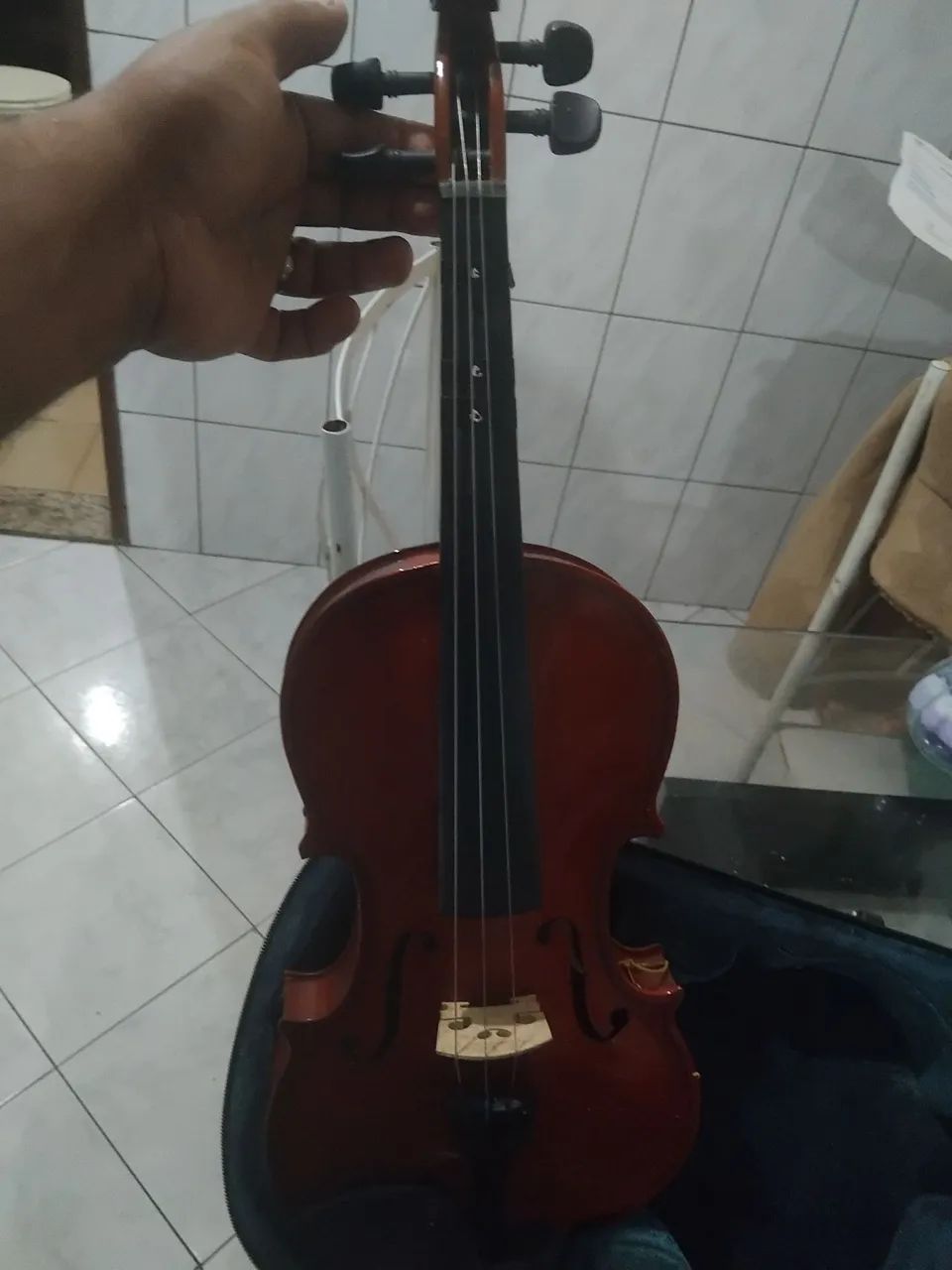 Violino