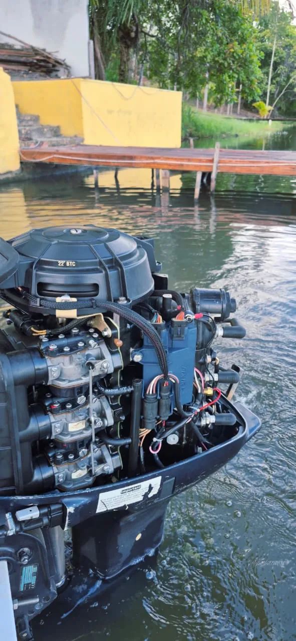 Motor evinrude 35hp Seminovo - Foto 6