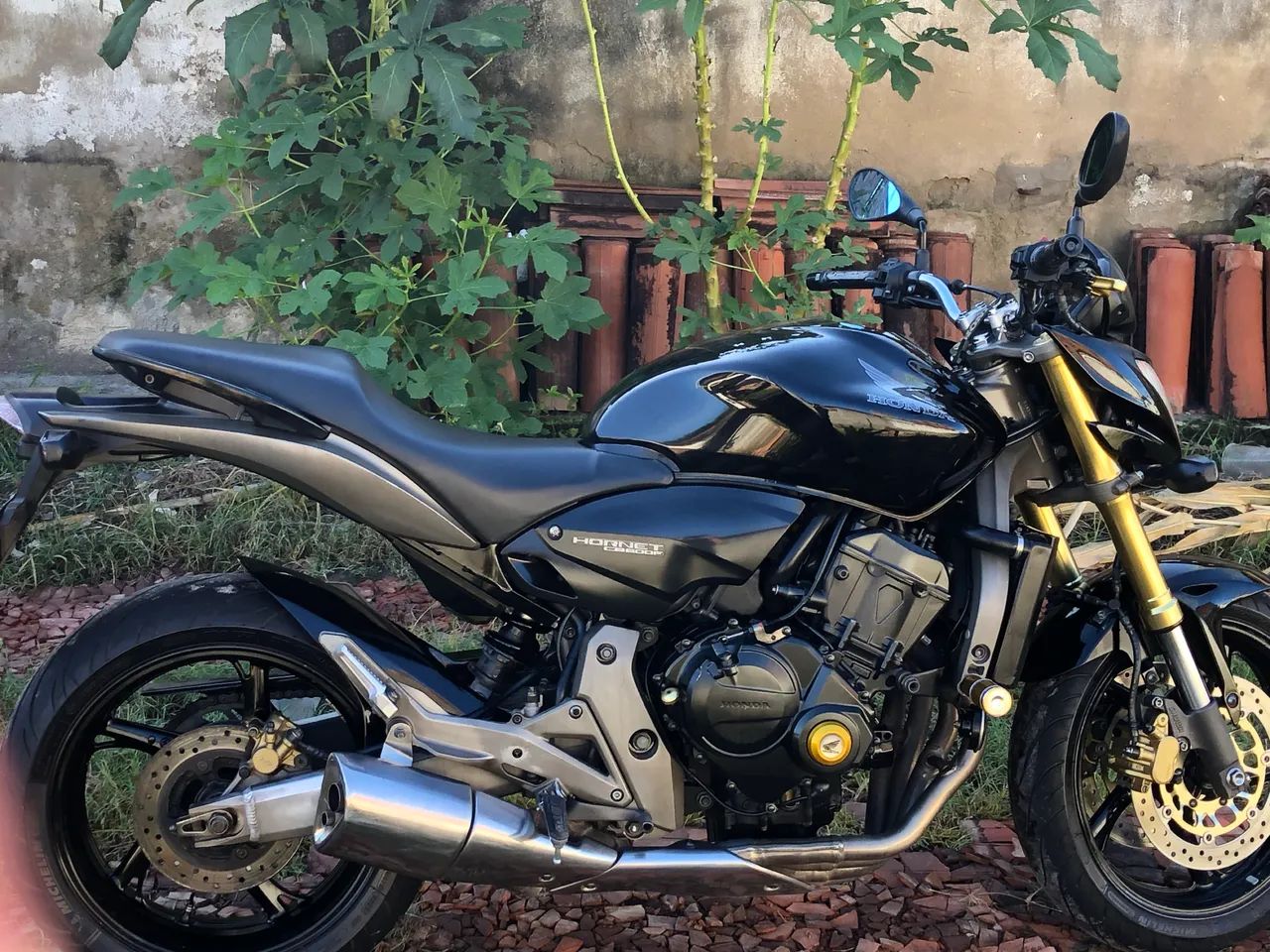 Hornet 600f - Foto 3