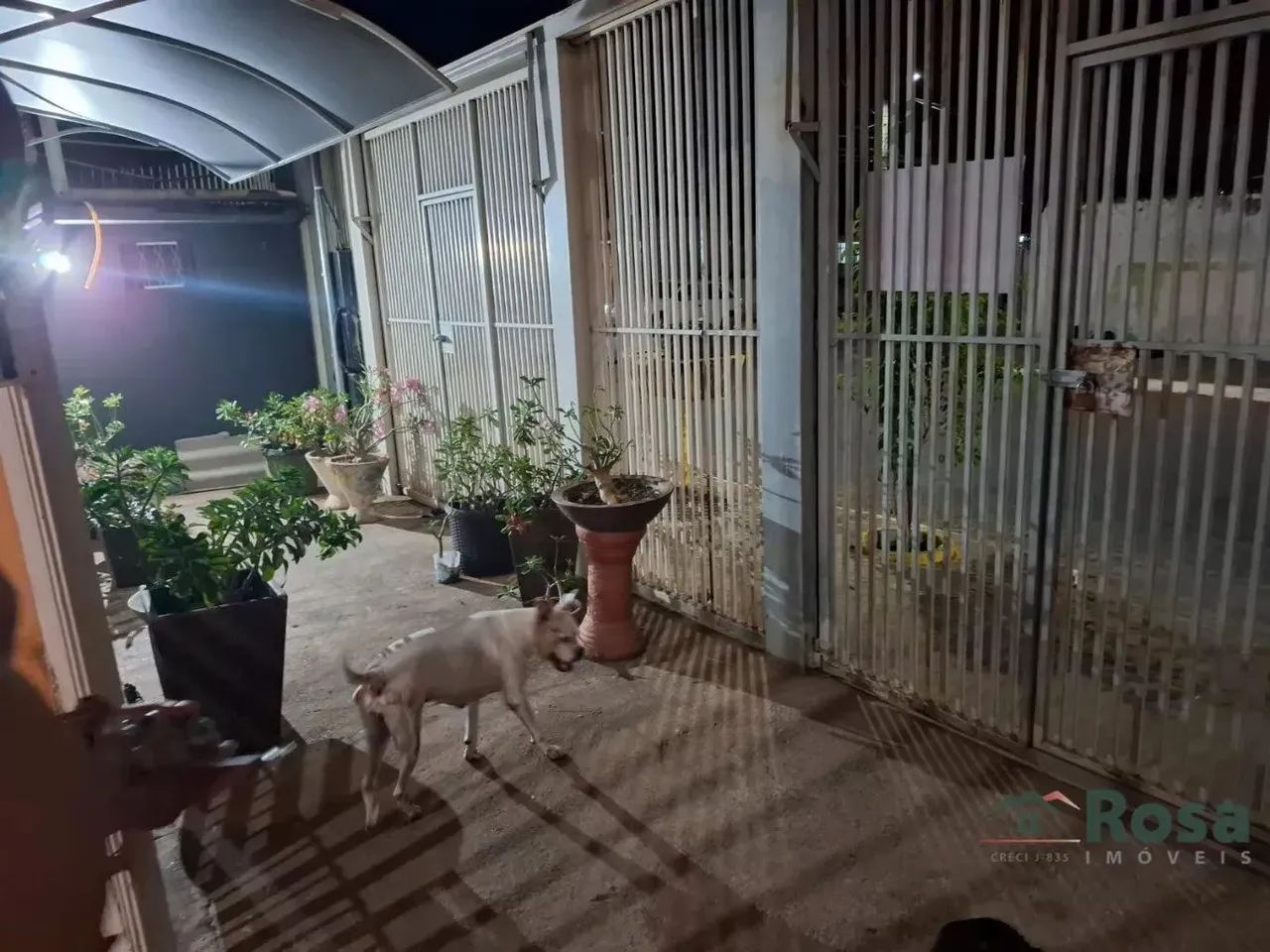 Casa para venda, 5 quarto(s), sendo 4 suites Campo Velho, Cuiabá - Foto 5