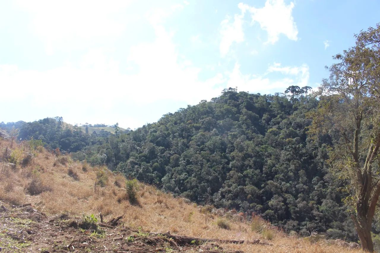 Sítio para Venda em Cunha, Paraibuna - Foto 3