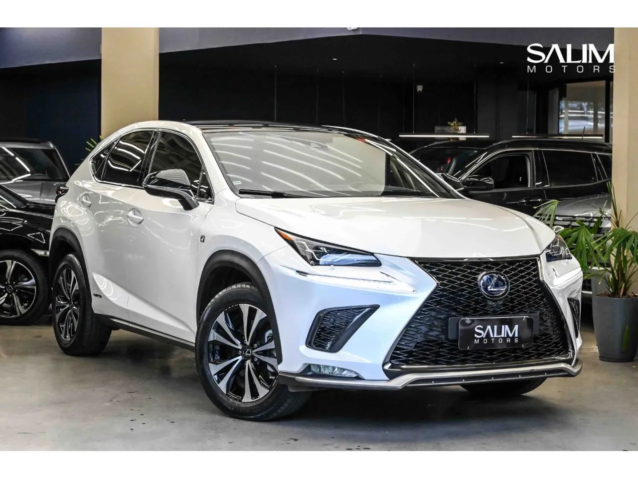 Lexus Nx-300 NX-300 F-Sport 2.0 16V 238cv Aut. 2020