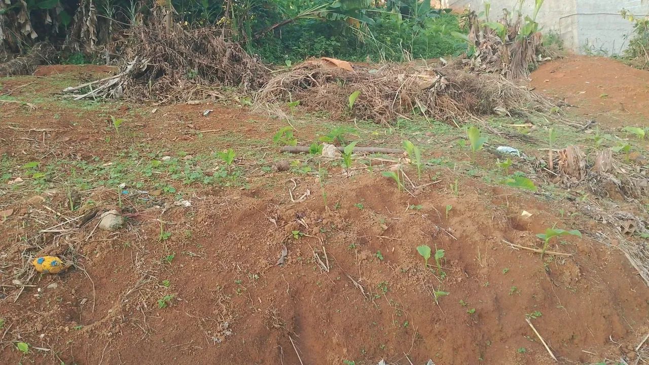Vende-se terreno
