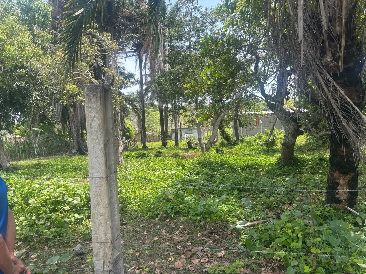 Vendo 3 lotes Alto da Bela Vista, Itamaracá - Foto 2