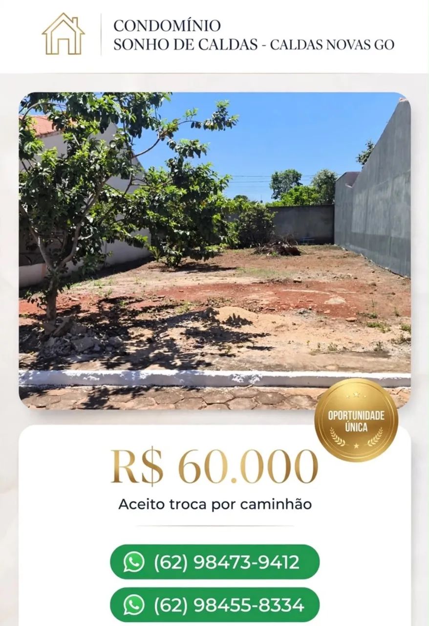Lote 10/25 - Foto 2
