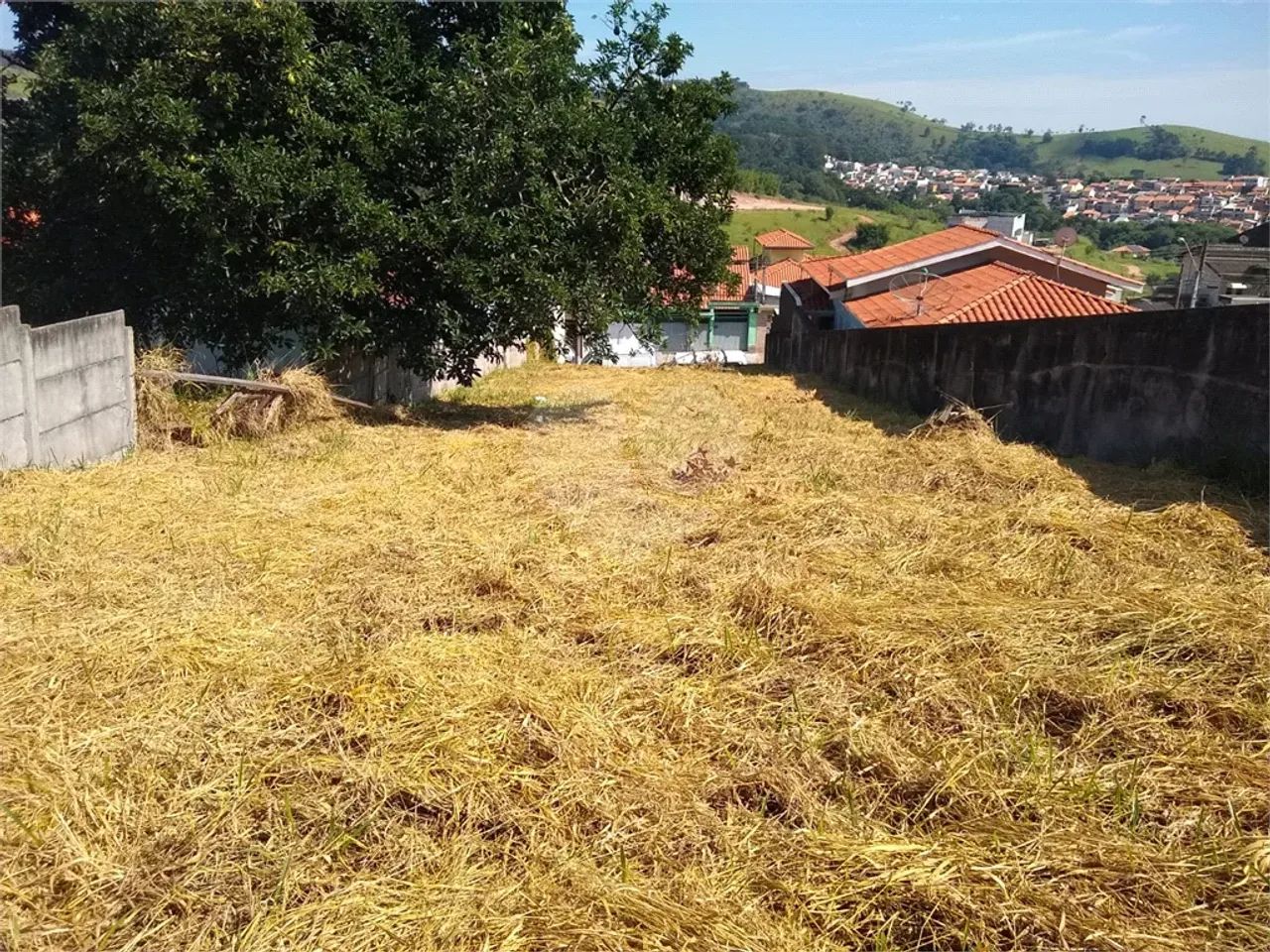 Terreno à venda em Centro - SP - Foto 3