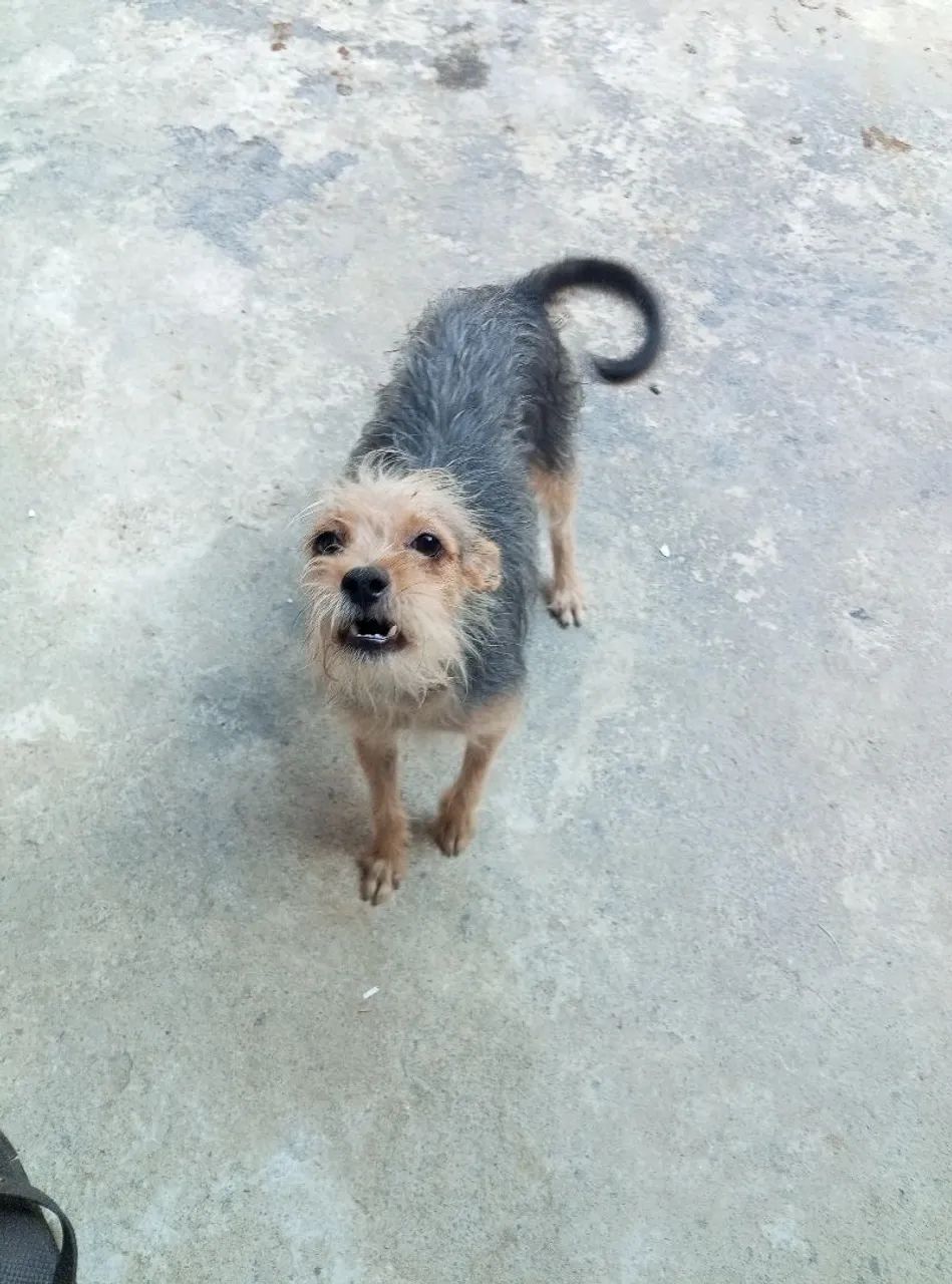 Doação 