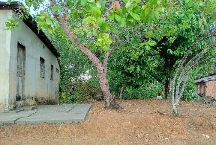 Terreno na cidade de Autazes-AM  - Foto 2