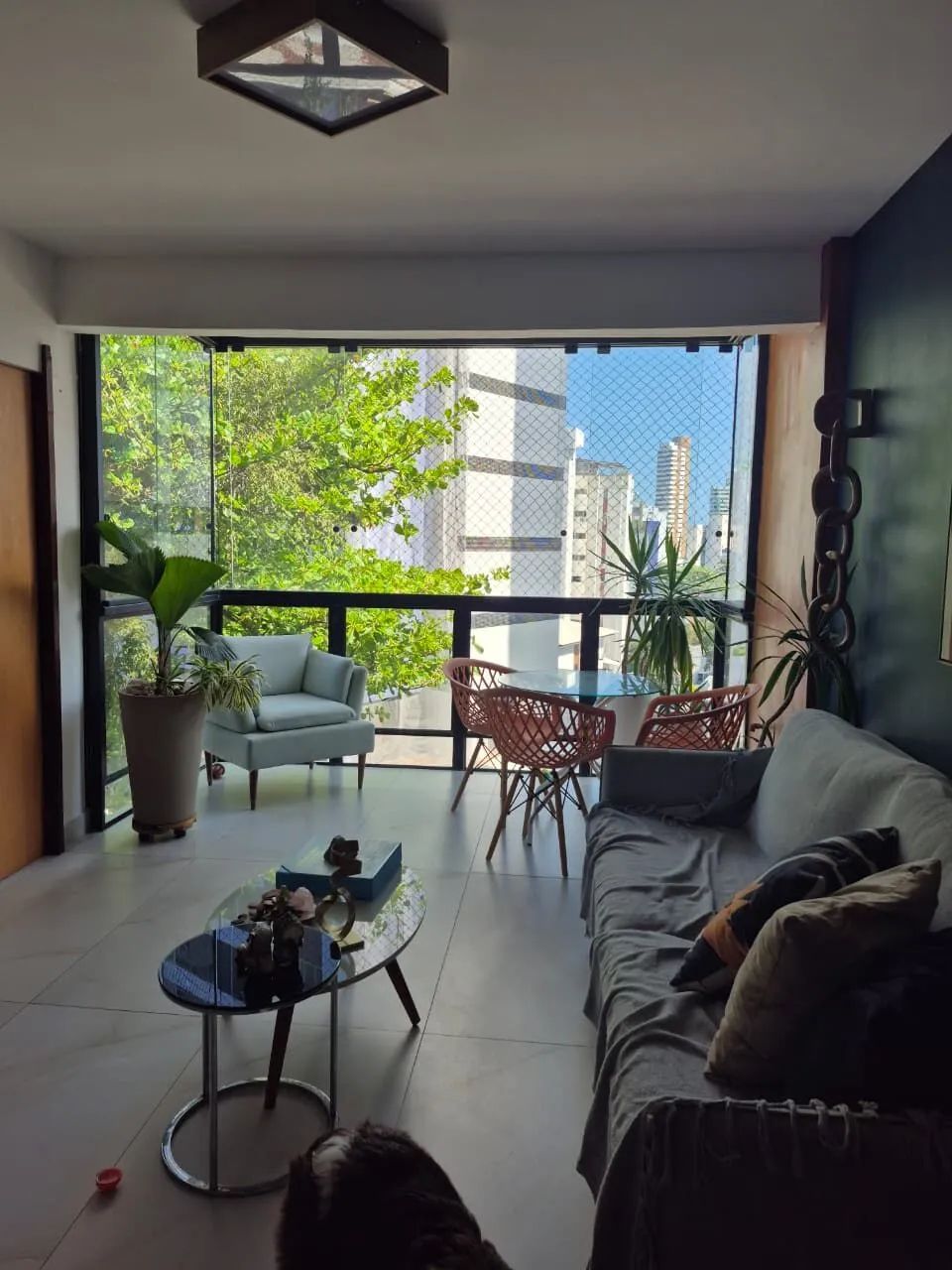 Apipema cobertura