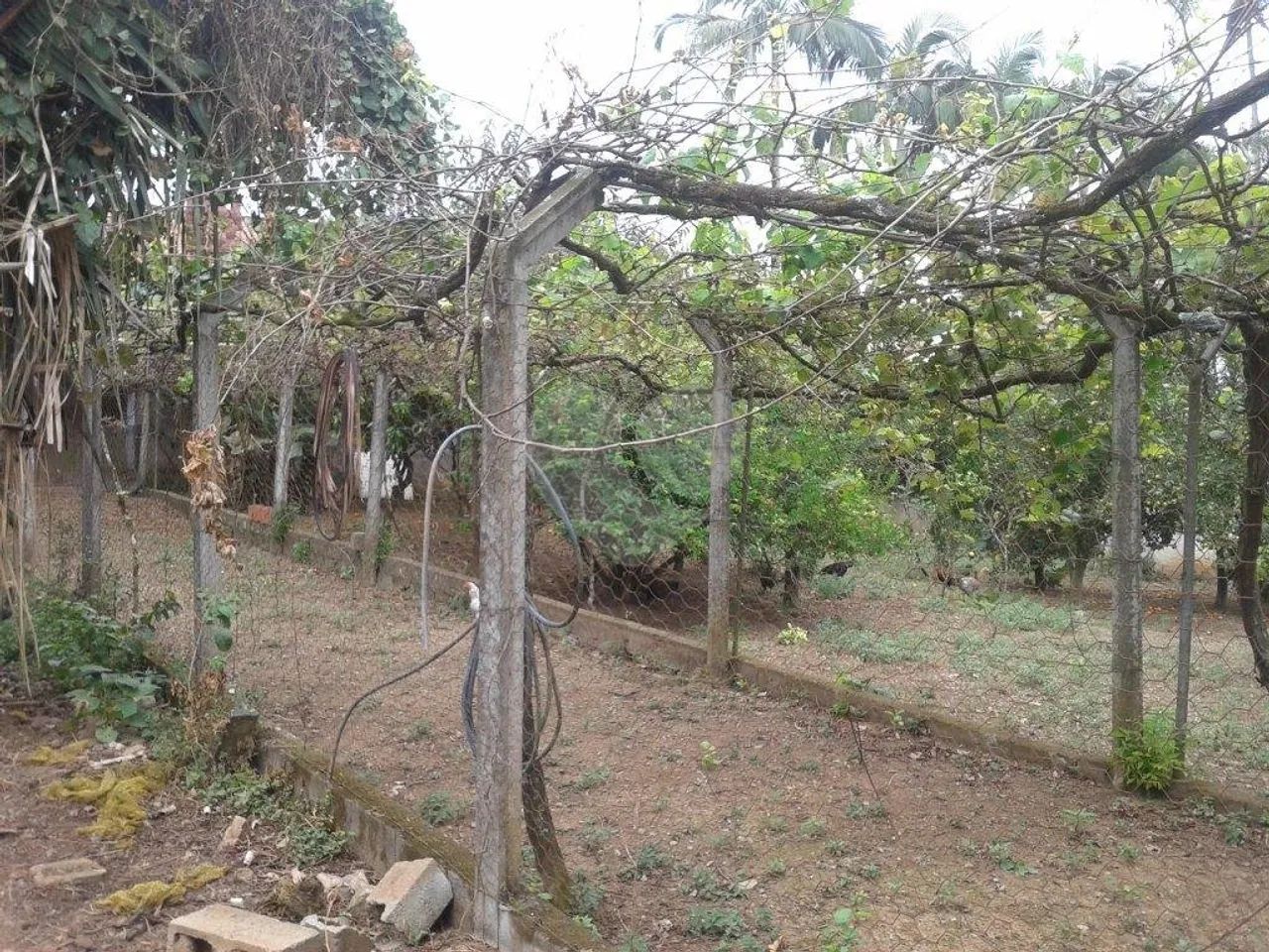 Terreno à venda em Horto florestal - SP - Foto 3