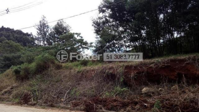Terreno à venda em Centro, Nova petrópolis cod:161635 - Foto 2